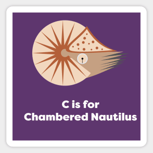 Chambered Nautilus Magnet